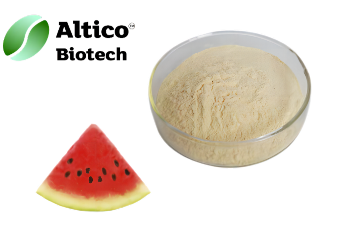 watermelon protein powder