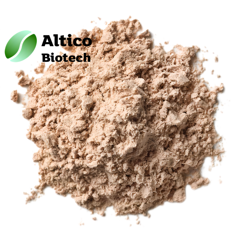 Brown Rice Protein Powder(1)(1)